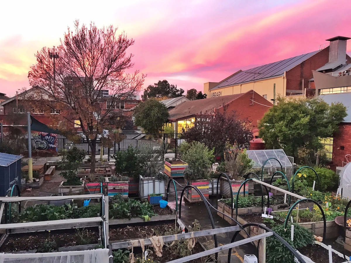 A permaculture garden with a pink sunset background